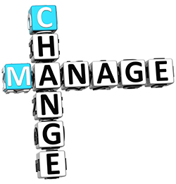 Manage Change